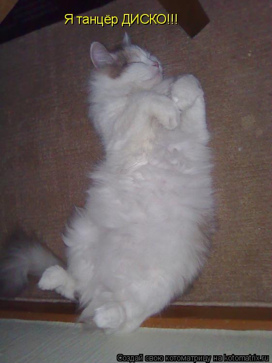 Я танцёр ДИСКО!!!... Котоматрица: Я танцёр ДИСКО!!!