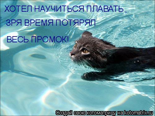 ХОТЕЛ НАУЧИТЬСЯ ПЛАВАТЬ ЗРЯ ВРЕМЯ ПОТЯРЯЛ , ВЕСЬ ПРОМОК!... Котоматрица: ХОТЕЛ НАУЧИТЬСЯ ПЛАВАТЬ ЗРЯ ВРЕМЯ ПОТЯРЯЛ , ВЕСЬ ПРОМОК!