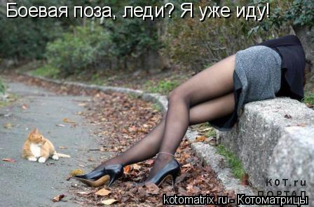 Боевая поза, леди? Я уже иду!... Котоматрица: Боевая поза, леди? Я уже иду!
