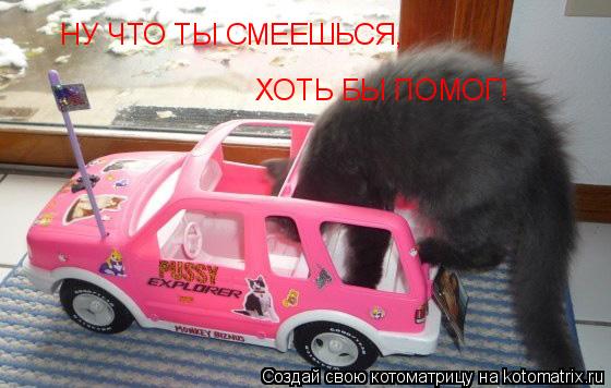Котоматрица: НУ ЧТО ТЫ СМЕЕШЬСЯ, ХОТЬ БЫ ПОМОГ!