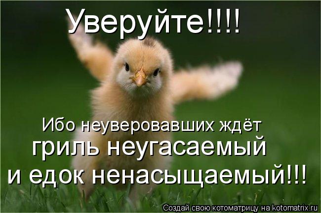 Котоматрица: Уверуйте!!!! Ибо неуверовавших ждёт гриль неугасаемый и едок ненасыщаемый!!!