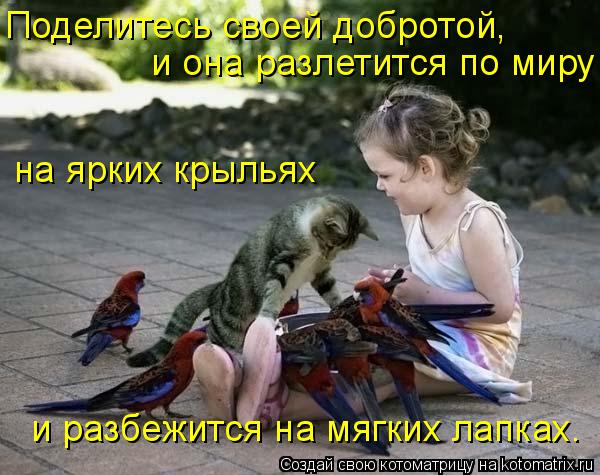 Котоматрица: Поделитесь своей добротой, и она разлетится по миру  на ярких крыльях и разбежится на мягких лапках.