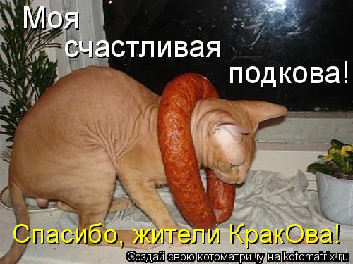 Моя счастливая подкова! Спасибо, жители КракОва!... Котоматрица: Моя счастливая подкова! Спасибо, жители КракОва!
