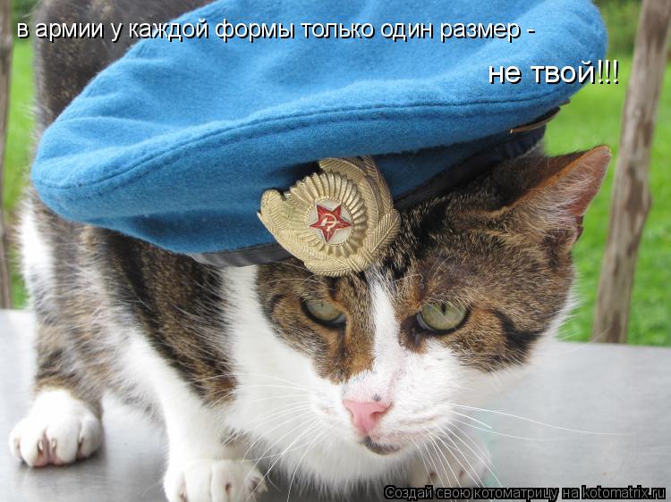 Котоматрица: в армии у каждой формы только один размер - не твой!!!