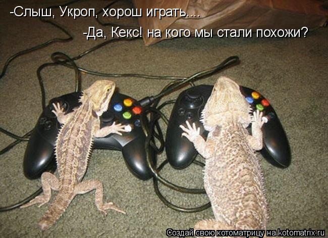 Котоматрица: -Слыш, Укроп, хорош играть.... -Да, Кекс! на кого мы стали похожи?