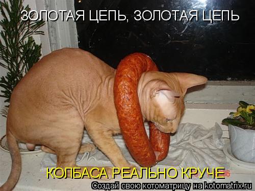 Котоматрица: ЗОЛОТАЯ ЦЕПЬ, ЗОЛОТАЯ ЦЕПЬ КОЛБАСА РЕАЛЬНО КРУЧЕ