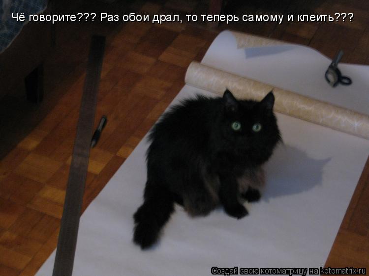 Чё говорите??? Раз обои драл, то теперь самому и клеить???... Котоматрица: Чё говорите??? Раз обои драл, то теперь самому и клеить???