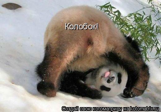Котоматрица: Колобок!