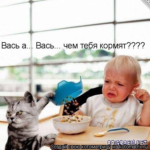 Котоматрица: Вась а... Вась... чем тебя кормят????
