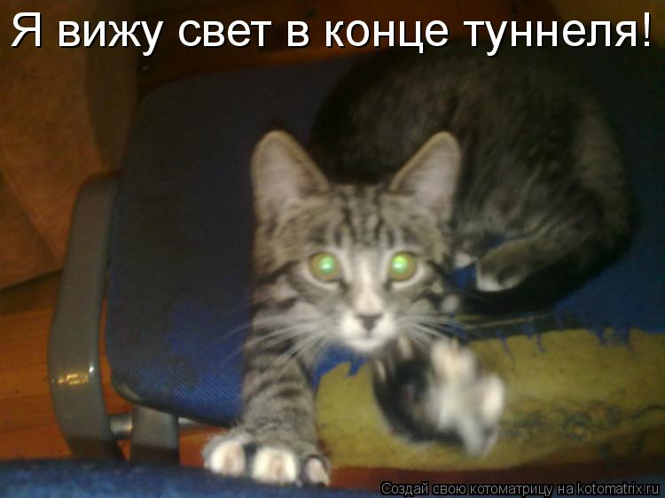 Я вижу свет в конце туннеля!... Котоматрица: Я вижу свет в конце туннеля!