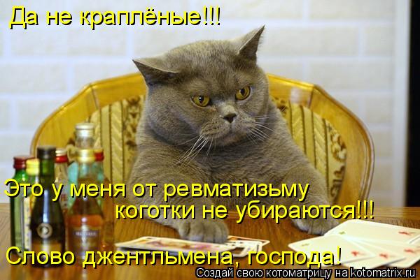 Котоматрица: Да не краплёные!!! Это у меня от ревматизьму  коготки не убираются!!! Слово джентльмена, господа!
