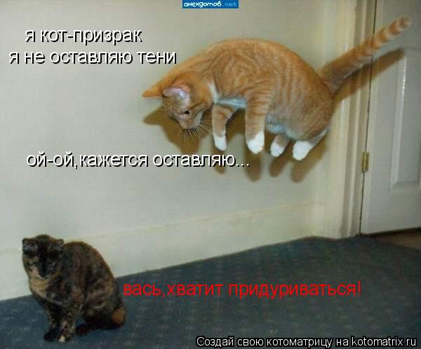 Котоматрица: я кот-призрак я не оставляю тени ой-ой,кажется оставляю... вась,хватит придуриваться!