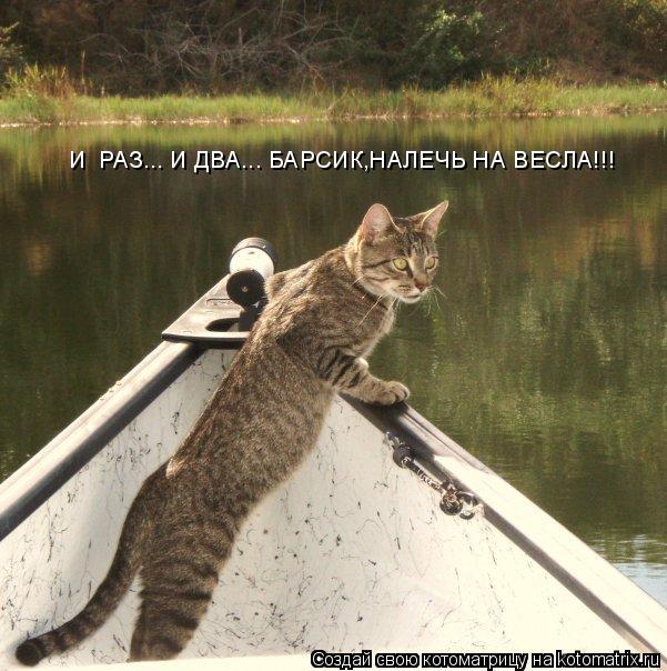 И РАЗ... И ДВА... БАРСИК,НАЛЕЧЬ НА ВЕСЛА!!!... Котоматрица: И РАЗ... И ДВА... БАРСИК,НАЛЕЧЬ НА ВЕСЛА!!!
