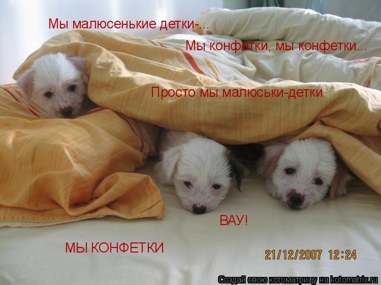 Мы малюсенькие детки-... Мы конфетки, мы конфетки... Просто мы малюськи-детки МЫ КОНФЕТКИ ВАУ!... Котоматрица: Мы малюсенькие детки-... Мы конфетки, мы конфетки... Просто мы малюськи-детки МЫ КОНФЕТКИ ВАУ!