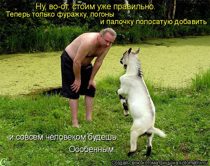 Ну, во-от, стоим уже правильно. Теперь только фуражку, погоны и палочку полосатую добавить и совсем ... Котоматрица: Ну, во-от, стоим уже правильно. Теперь только фуражку, погоны и палочку полосатую добавить и совсем человеком будешь. Особенным..