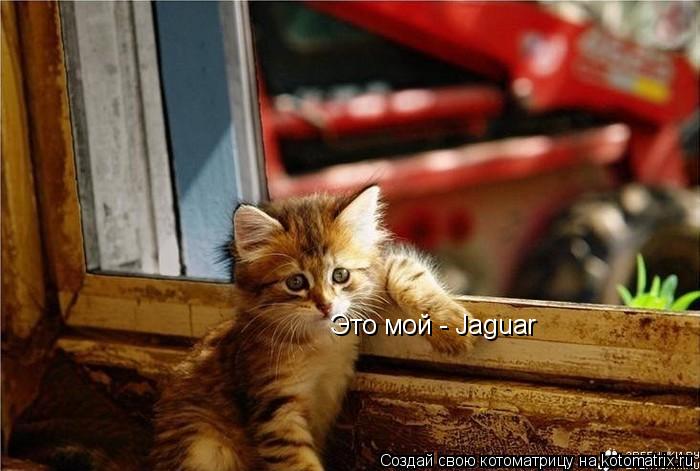 Это мой - Jaguar... Котоматрица: Это мой - Jaguar