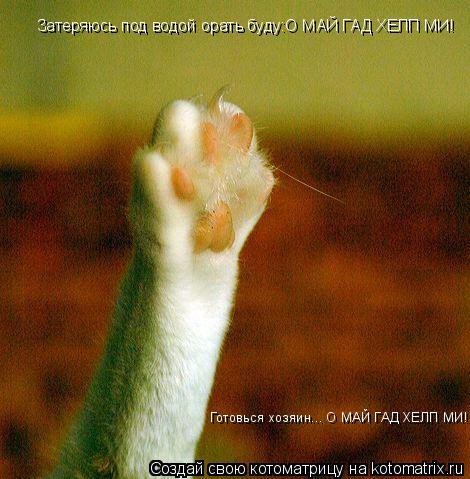 Котоматрица: Затеряюсь под водой орать буду:О МАЙ ГАД ХЕЛП МИ! Готовься хозяин... О МАЙ ГАД ХЕЛП МИ!