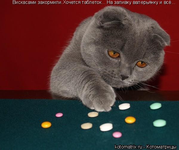 Котоматрица: Вискасами закормили.Хочется таблеток... На запивку валерьянку и всё...