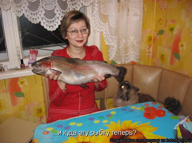 Котоматрица: ...и куда эту рыбку теперь?