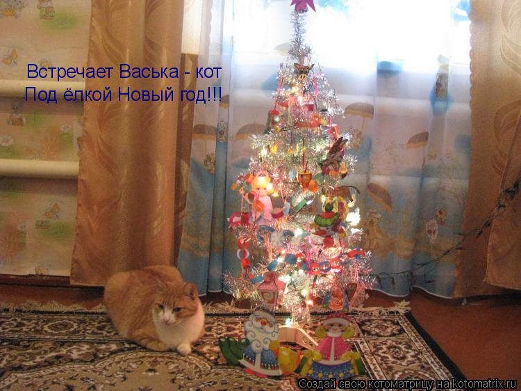 Котоматрица: Встречает Васька - кот Под ёлкой Новый год!!!