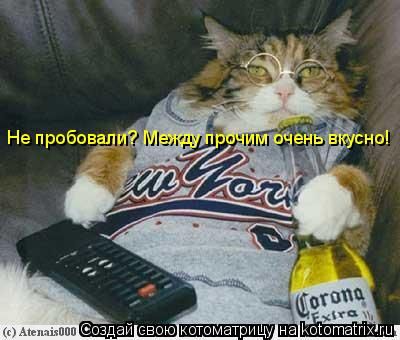 Котоматрица: Не пробовали? Между прочим очень вкусно!