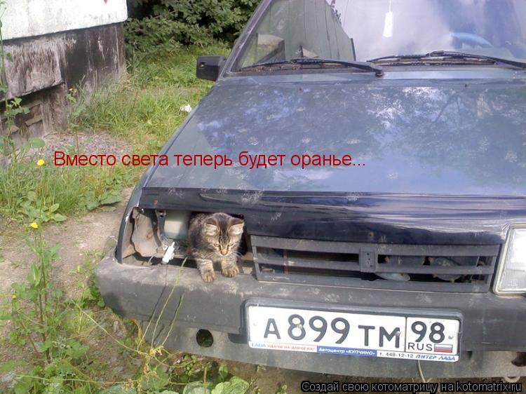 Вместо света теперь будет оранье...... Котоматрица: Вместо света теперь будет оранье...
