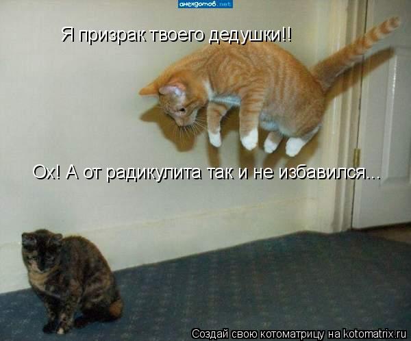 Котоматрица: Я призрак твоего дедушки!!  Ох! А от радикулита так и не избавился...