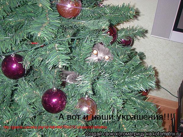 Котоматрица: http://gelanie.com/elka.php?id=6df48667ff503757a9adac5d2b95e80a -А вот и наши украшения!!!