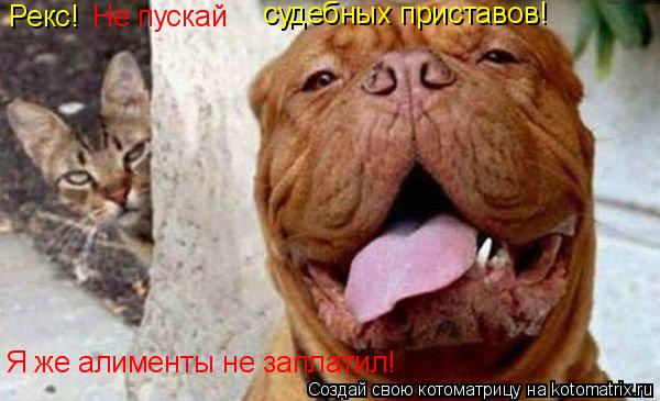 Котоматрица: Рекс! Не пускай  судебных приставов! Я же алименты не заплатил!