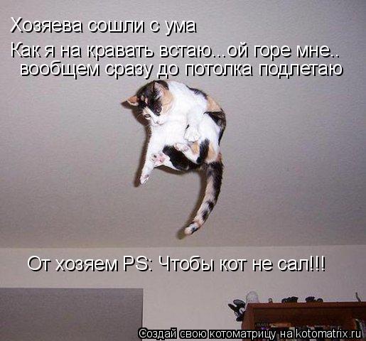 Котоматрица: Хозяева сошли с ума Как я на кравать встаю...ой горе мне.. вообщем сразу до потолка подлетаю От хозяем PS: Чтобы кот не сал!!!