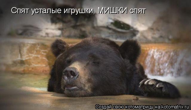 Котоматрица: Спят усталые игрушки, МИШКИ спят