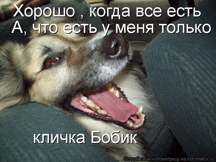 Котоматрица: Хорошо , когда все есть А, что есть у меня только кличка Бобик