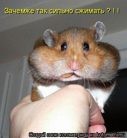 Котоматрица: Зачемже так сильно сжимать ? ! !