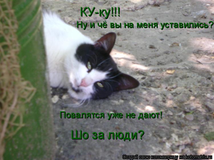 Котоматрица: КУ-ку!!! Ну и чё вы на меня уставились? Повалятся уже не дают! Шо за люди?
