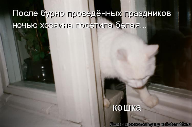 Котоматрица: После бурно проведённых праздников ночью хозяина посетила белая... кошка