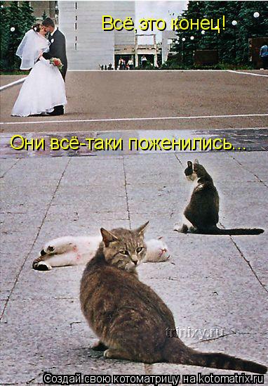 Всё,это конец! Они всё-таки поженились...... Котоматрица: Всё,это конец! Они всё-таки поженились...