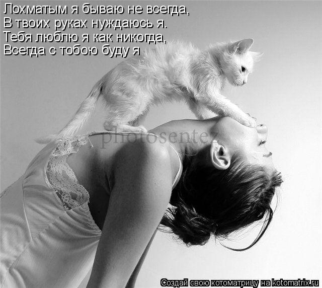 Котоматрица: Лохматым я бываю не всегда, В твоих руках нуждаюсь я. Тебя люблю я как никогда, Всегда с тобою буду я
