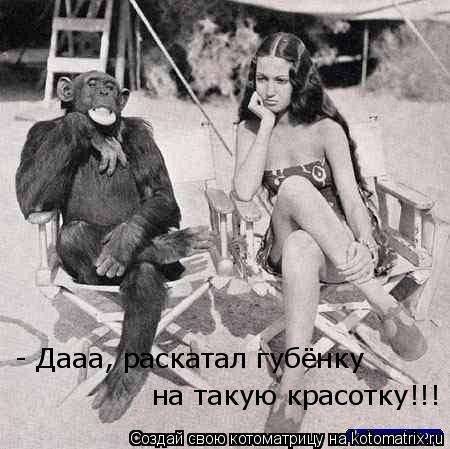 Котоматрица: - Дааа, раскатал губёнку  на такую красотку!!!