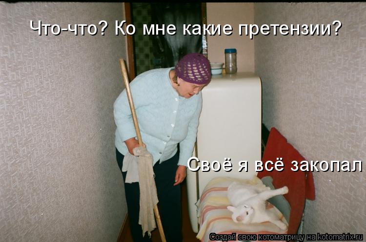Котоматрица: Что-что? Ко мне какие претензии? Своё я всё закопал