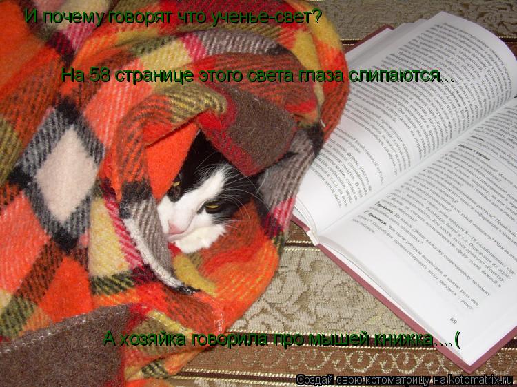 Котоматрица: И почему говорят что ученье-свет? На 58 странице этого света глаза слипаются... А хозяйка говорила про мышей книжка....(