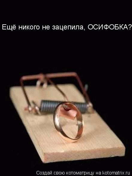 Котоматрица: Ещё никого не зацепила, ОСИФОБКА?