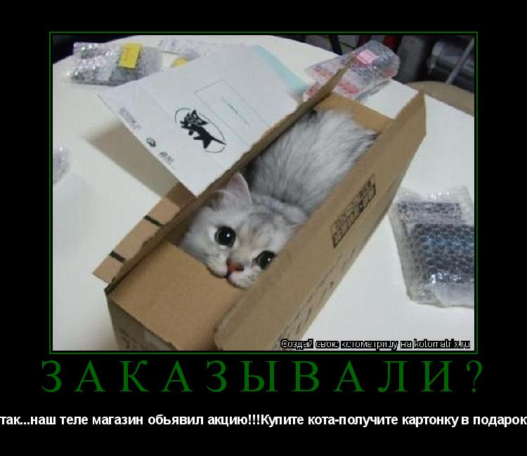 Котоматрица: Заказывали? И так...наш теле магазин обьявил акцию!!!Купите кота-получите картонку в подарок!!!