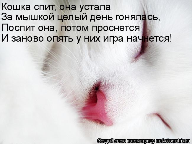 Кошка спит, она устала За мышкой целый день гонялась, Поспит она, потом проснется И заново опять у ни... Котоматрица: Кошка спит, она устала За мышкой целый день гонялась, Поспит она, потом проснется И заново опять у них игра начнется!