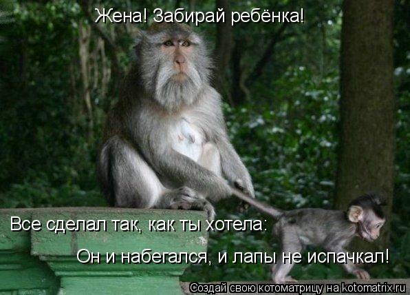 Жена! Забирай ребёнка! Все сделал так, как ты хотела: Он и набегался, и лапы не испачкал!... Котоматрица: Жена! Забирай ребёнка! Все сделал так, как ты хотела: Он и набегался, и лапы не испачкал!