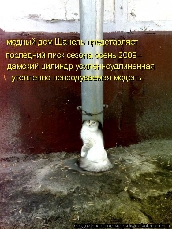 Котоматрица: модный дом Шанель представляет последний писк сезона осень 2009-- дамский цилиндр,усиленноудлиненная утепленно непродуваемая модель