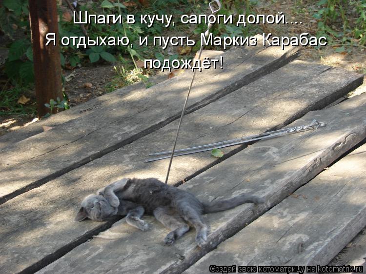 Котоматрица: Шпаги в кучу, сапоги долой.... Я отдыхаю, и пусть Маркиз Карабас  подождёт!