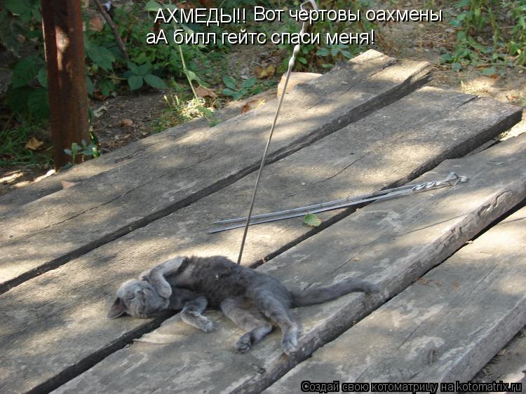 Котоматрица: АХМЕДЫ!! Вот чертовы оахмены аА билл гейтс спаси меня!