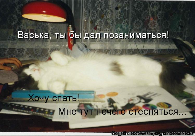 Котоматрица: Васька, ты бы дал позаниматься! Хочу спать! Мне тут нечего стесняться...