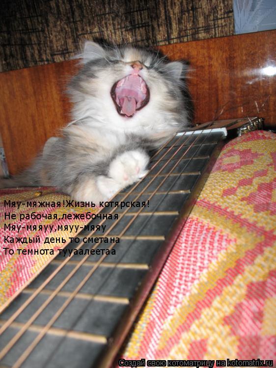 Мяу-мяжная!Жизнь котярская! Не рабочая,лежебочная Мяу-мяяуу,мяуу-мяяу Каждый день то сметана То темно... Котоматрица: Мяу-мяжная!Жизнь котярская! Не рабочая,лежебочная Мяу-мяяуу,мяуу-мяяу Каждый день то сметана То темнота тууаалеетаа