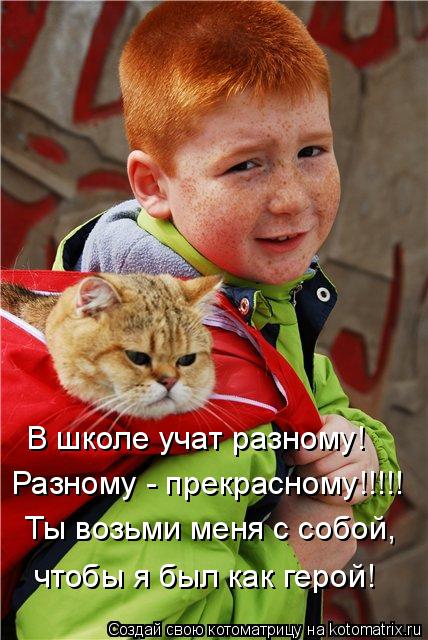 В школе учат разному! Разному - прекрасному!!!!! Ты возьми меня с собой, чтобы я был как герой!... Котоматрица: В школе учат разному! Разному - прекрасному!!!!! Ты возьми меня с собой, чтобы я был как герой!